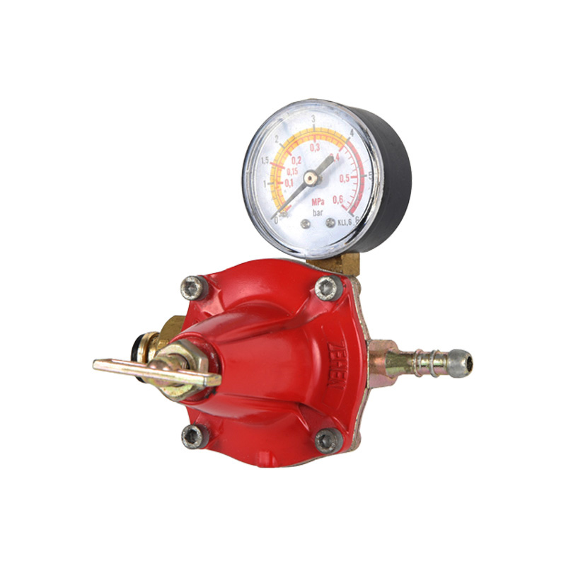 Bộ điều chỉnh khí propane thân kẽm Mô hình tiêu chuẩn khác nhau cho kết nối đầu vào