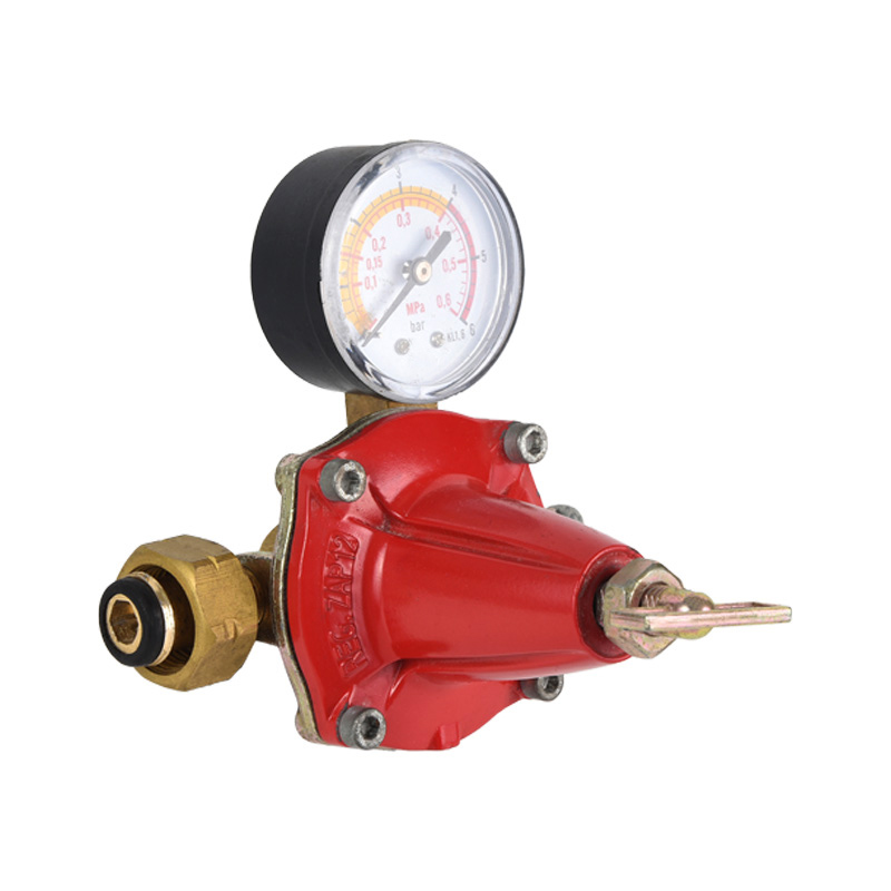 Bộ điều chỉnh khí propane thân kẽm Mô hình tiêu chuẩn khác nhau cho kết nối đầu vào