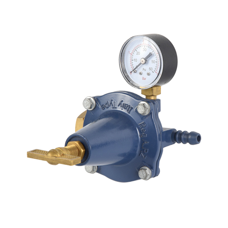 Bộ điều chỉnh khí propane thân kẽm Mô hình tiêu chuẩn khác nhau cho kết nối đầu vào