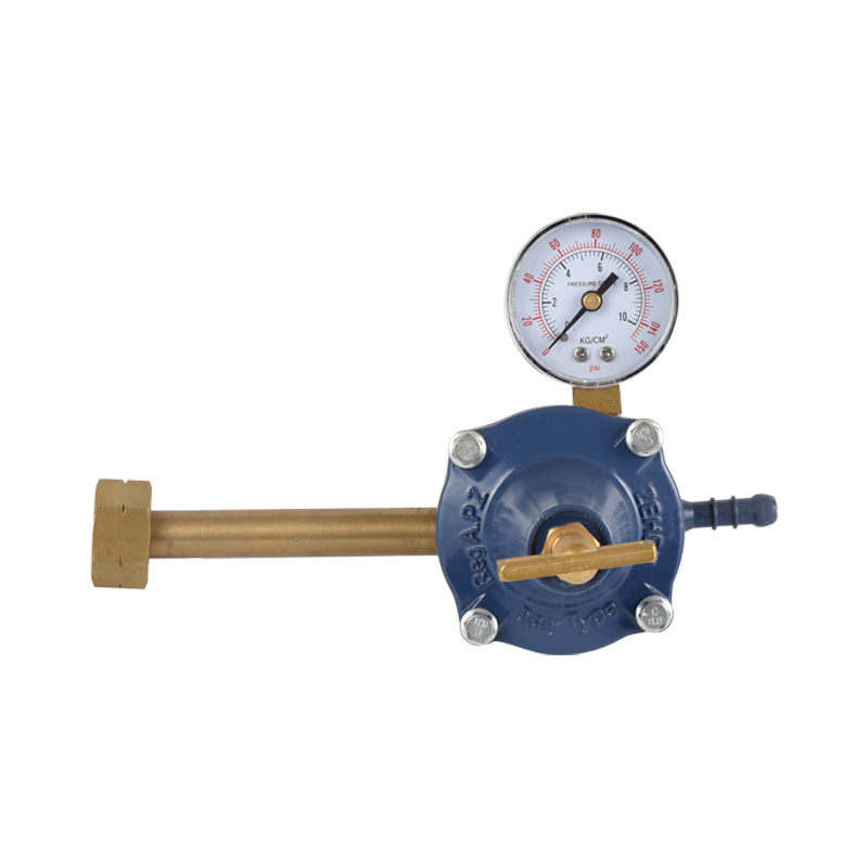 Bộ điều chỉnh khí propane thân kẽm Mô hình tiêu chuẩn khác nhau cho kết nối đầu vào